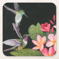 Hummingvögel in der Plumeria