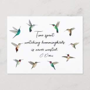Hummingvögel in Nordamerika Postkarte