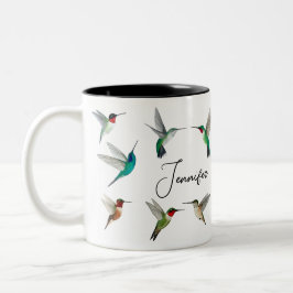 Hummingvögel in Nordamerika Zweifarbige Tasse