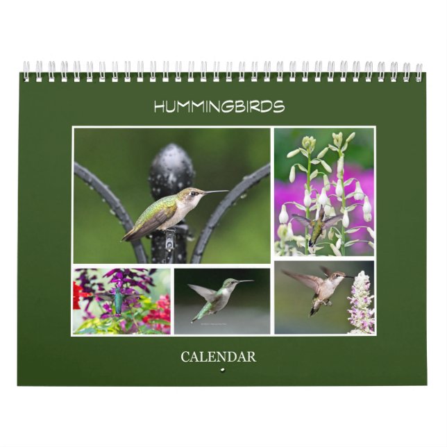Hummingvögel Kalender (Titelbild)