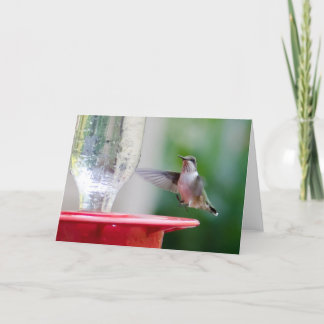 Hummingvogel Karte