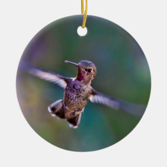 Hummingvogel Keramikornament (Vorne)