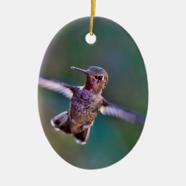 Hummingvogel Keramikornament (Vorne)