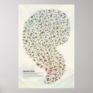 Hummingvögel - leicht poster