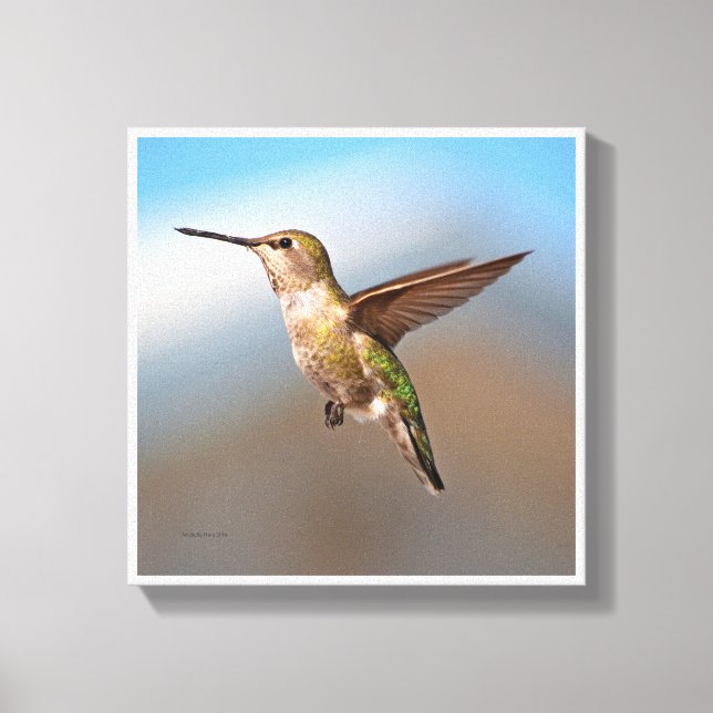 Hummingvogel Leinwanddruck (Vorderseite)