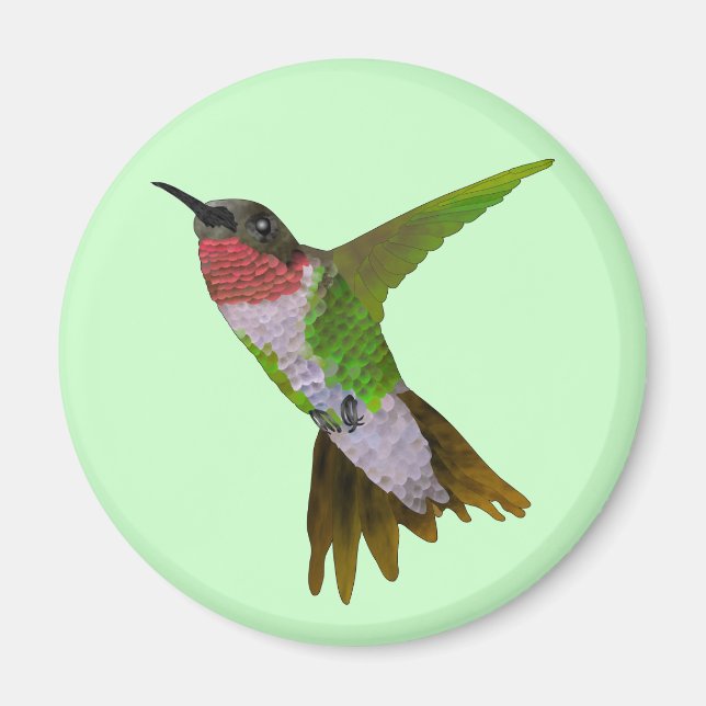 Hummingvogel Magnet (Vorne)