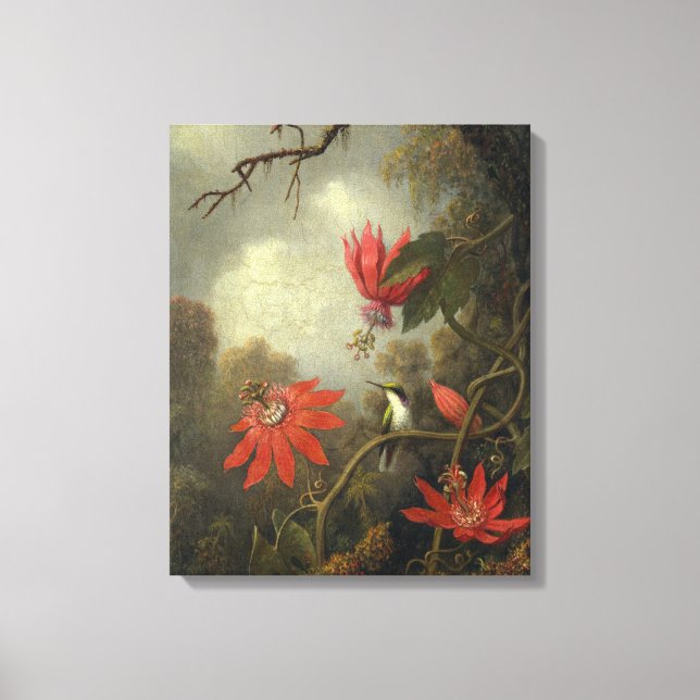 Hummingvogel mit Passion-Blume Leinwanddruck (Vorderseite)