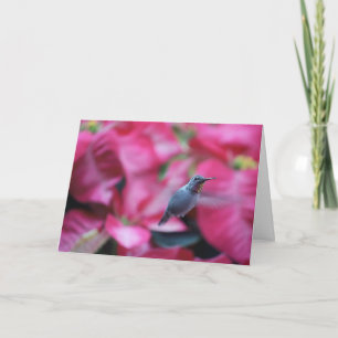 Hummingvogel mit Poinsettia-Hintergrund Karte