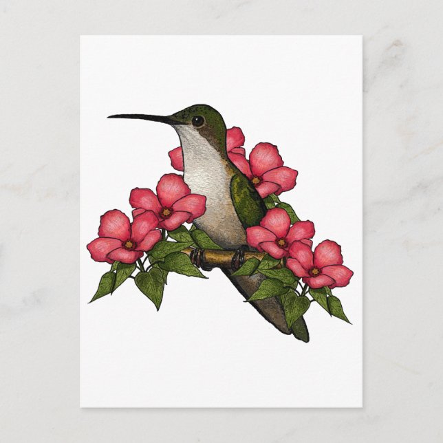 Hummingvogel mit rosa Blume: Naturkunde Postkarte (Vorderseite)