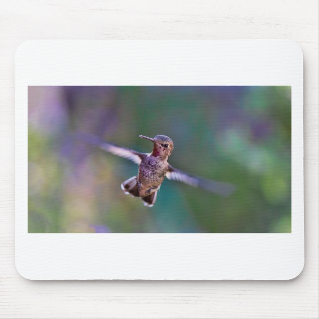 Hummingvogel Mousepad (Vorne)