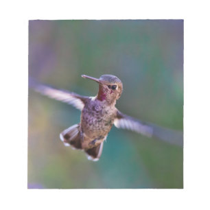 Hummingvogel Notizblock