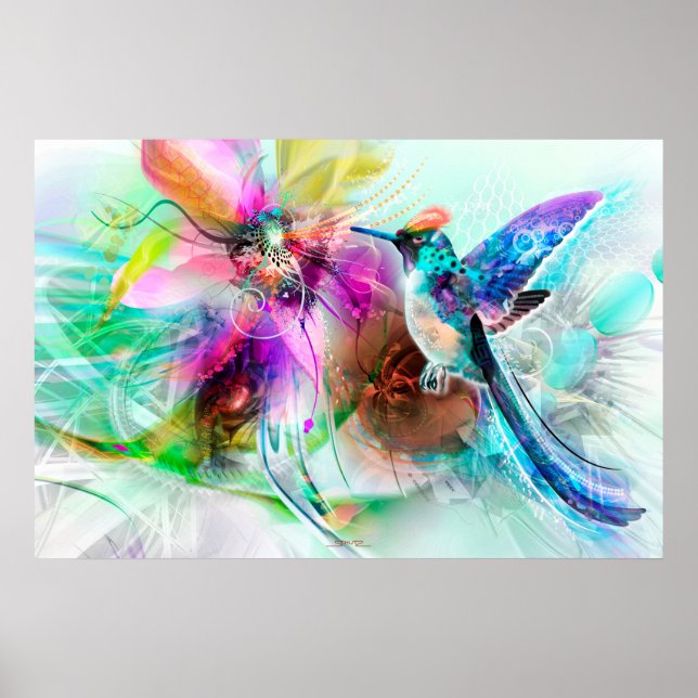 Hummingvogel Poster (Vorne)