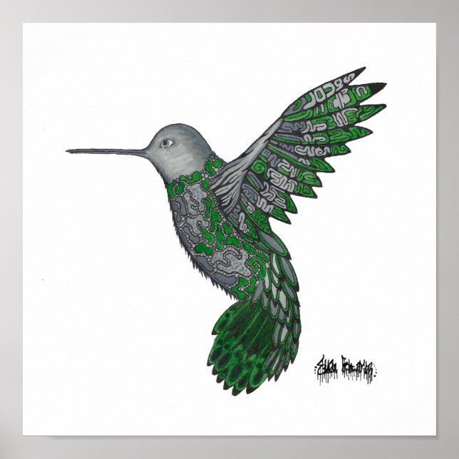 Hummingvogel Poster (Vorne)