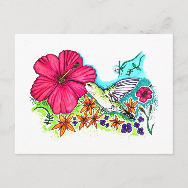 Hummingvogel Postkarte (Vorderseite)