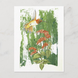 Hummingvogel Postkarte