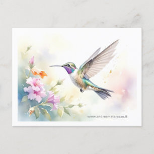 Hummingvogel Postkarte