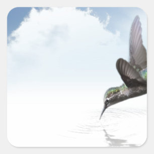 Hummingvogel Quadratischer Aufkleber