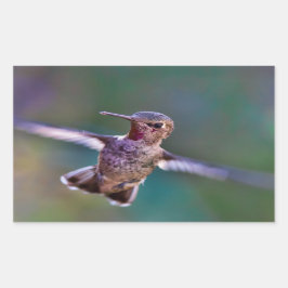 Hummingvogel Rechteckiger Aufkleber
