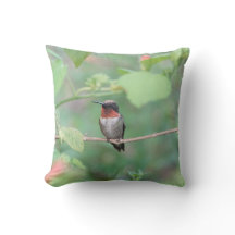 Hummingvogel ruht auf dem Ast, grün
