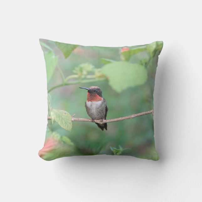 Hummingvogel ruht auf dem Ast, grün Kissen (Vorderseite)