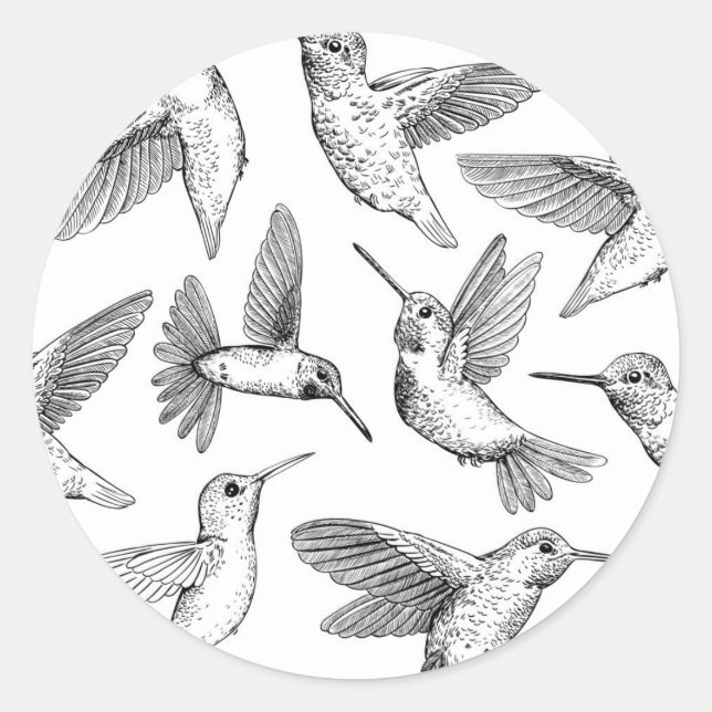 Hummingvögel Runder Aufkleber (Vorderseite)