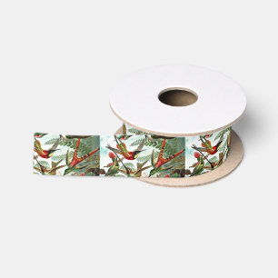 Hummingvögel Satinband
