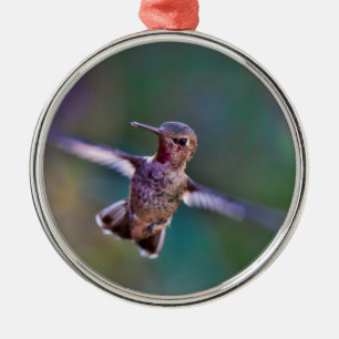 Hummingvogel Silbernes Ornament