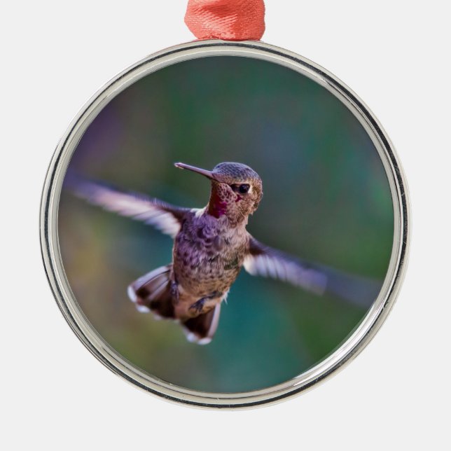Hummingvogel Silbernes Ornament (Vorne)