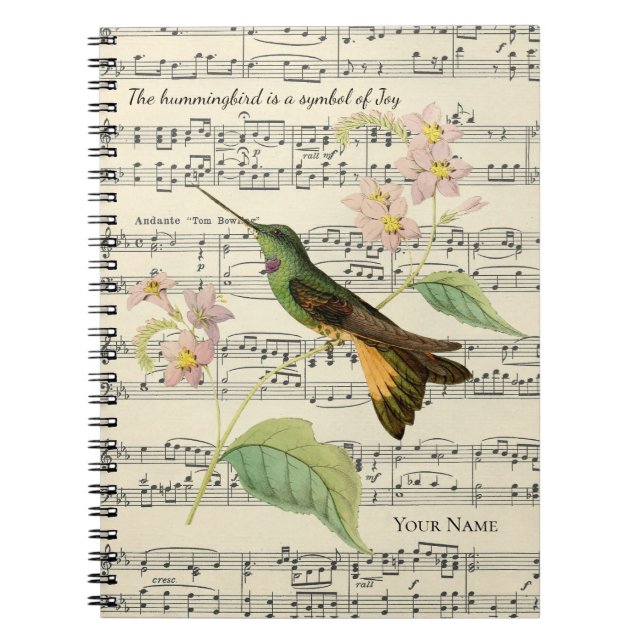 Hummingvogel-Symbol für Freudenanerkenntnis Notizblock (Vorderseite)