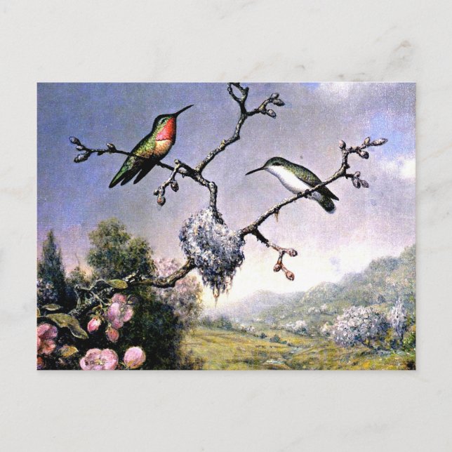Hummingvögel und Apfelblüten Postkarte (Vorderseite)