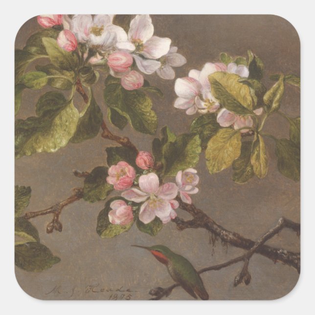 Hummingvogel und Apfelblüten Quadratischer Aufkleber (Vorderseite)