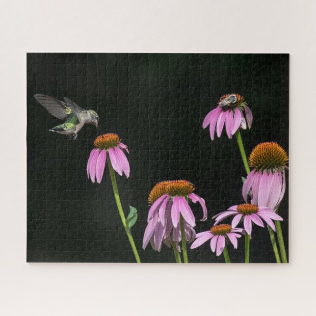 Hummingvogel und Bienen teilen sich eine Blume (Horizontal)