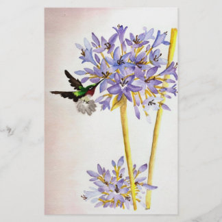 Hummingvogel und Blume