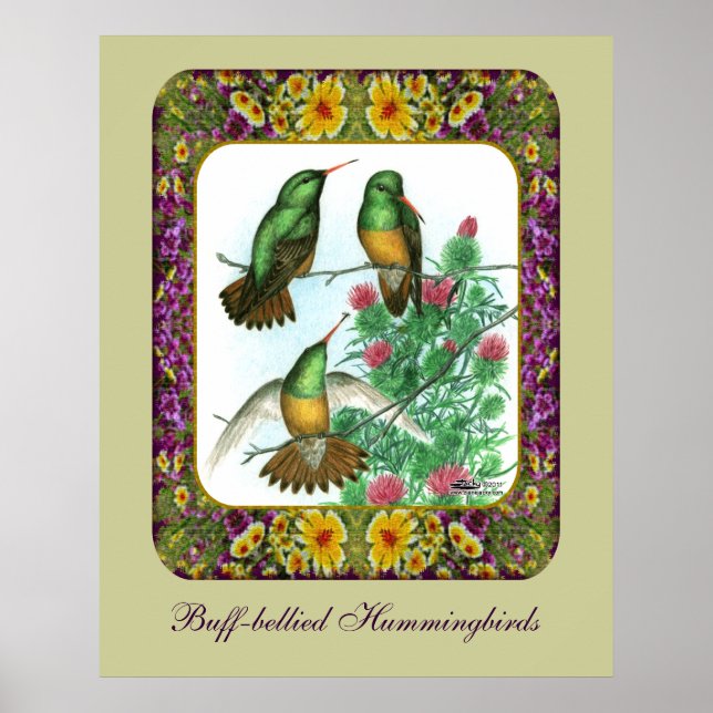 Hummingvögel und Blume #1 Poster (Vorne)