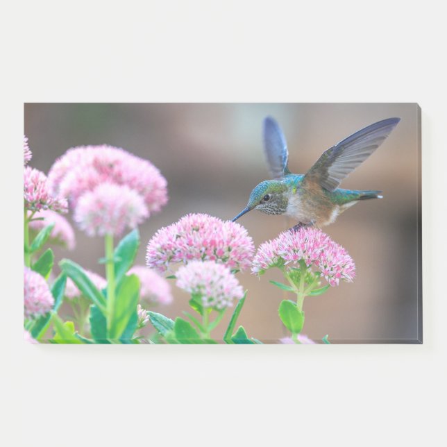 Hummingvogel und Blume Post-it Klebezettel (Vorderseite)