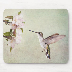 Hummingvogel und Frühlingsblumen Mousepad