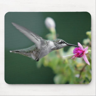Hummingvogel und Fuchsia Mousepad