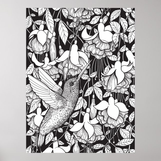 Hummingvogel und Fuchsie Poster (Vorne)