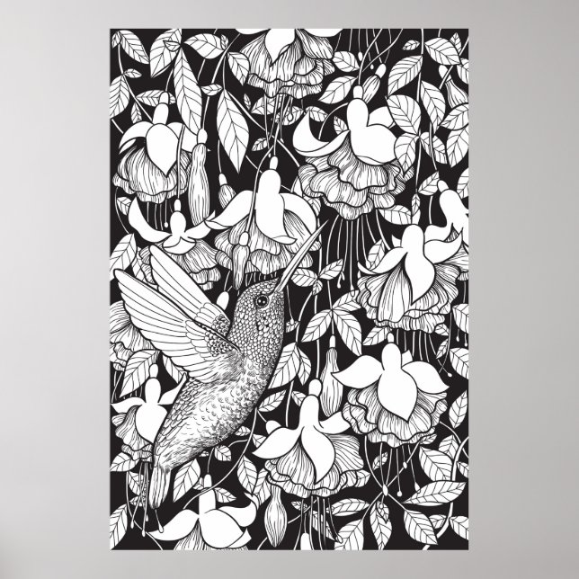 Hummingvogel und Fuchsie Poster (Vorne)