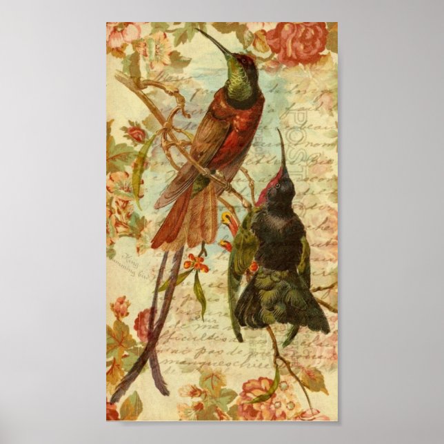 Hummingvögel und Rose Poster (Vorne)