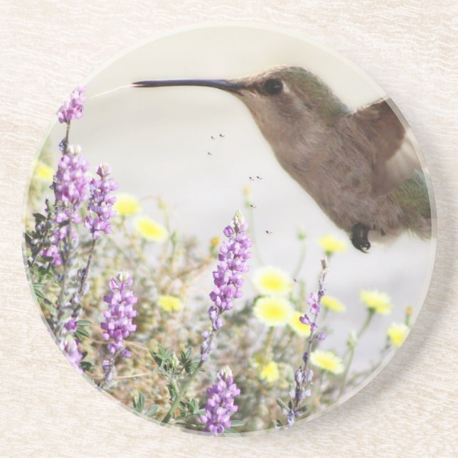 Hummingvogel und Wildblumen Digitale Kunst Getränkeuntersetzer (Vorne)