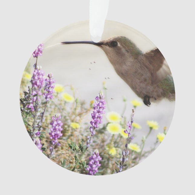 Hummingvogel und Wildblumen Digitale Kunst Ornament (Vorderseite)