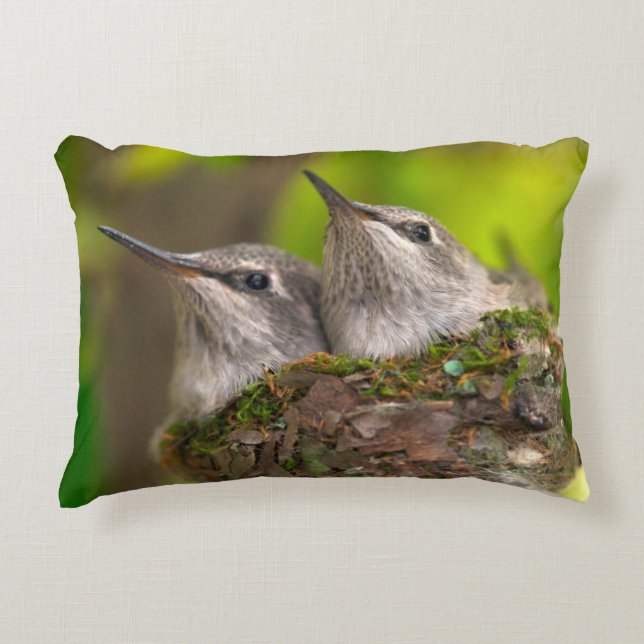 Hummingvögel Zierkissen (Vorderseite)