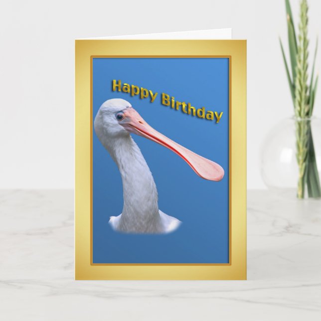 Humor Spoonbill Birthday Card Karte (Vorderseite)