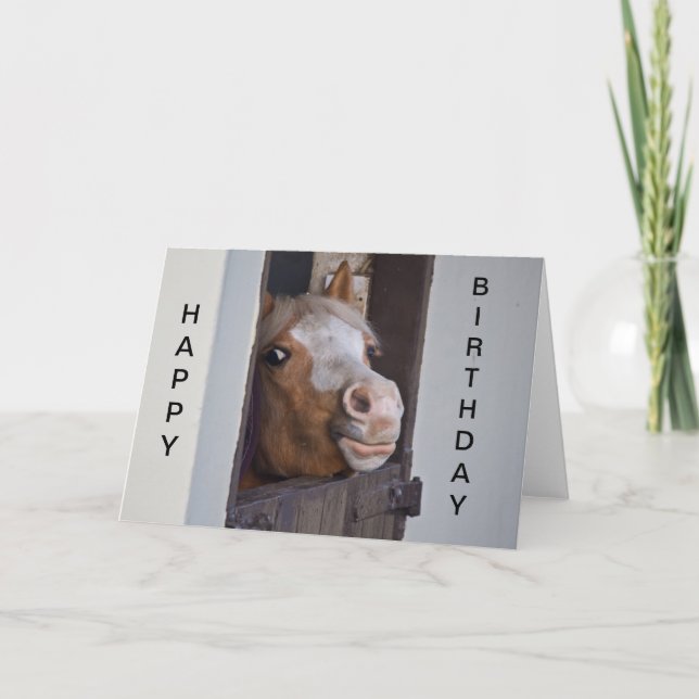 Humorale Horst Happy Birthday Card Karte (Vorderseite)
