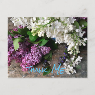 Humorale Postkarte: Lilac Dankeschön an "ME"-Noten Postkarte
