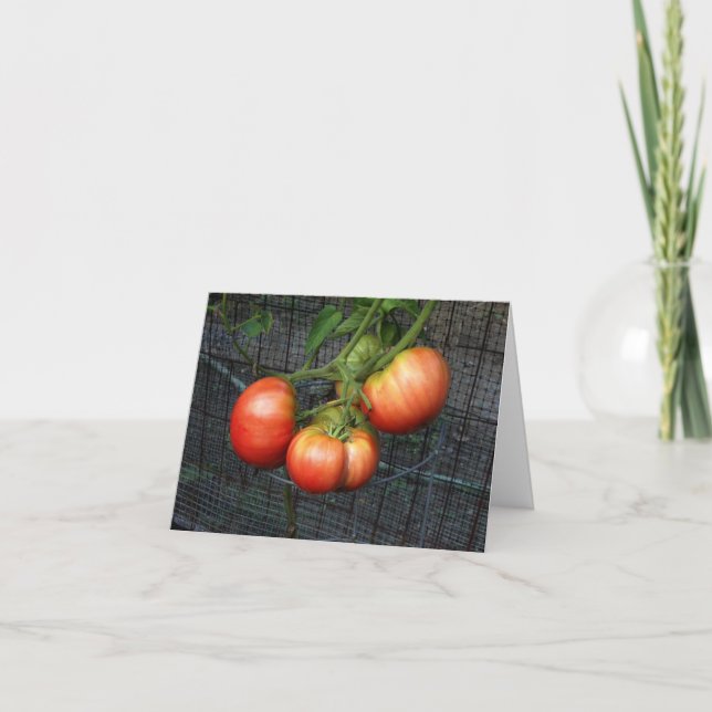 Humorale Therapie Tomatengarten Grußkarte Karte (Vorderseite)