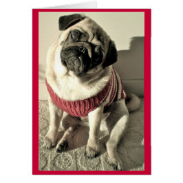 Humoraler Mops Valentine Card