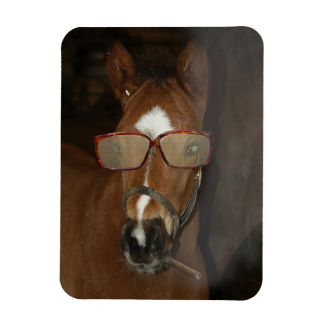 Humorales Horse Foal Rauch Zigarre Flexible Magnet (Vertikal)