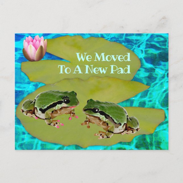 Humorische Frösche Lilies Pad Wir bewegten Ankündi Postkarte (Vorderseite)